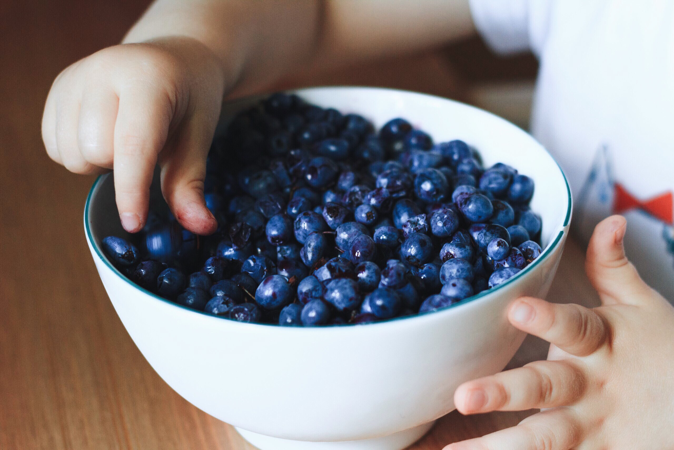 Child & Adult Care Food Program